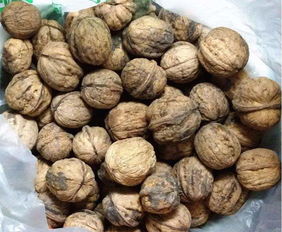 健康警報 這些堅果與干果，請謹慎食用